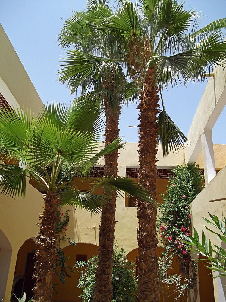 Hotel Sun Palm Douz Eksteriør billede